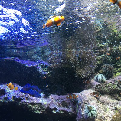 サンシャイン水族館