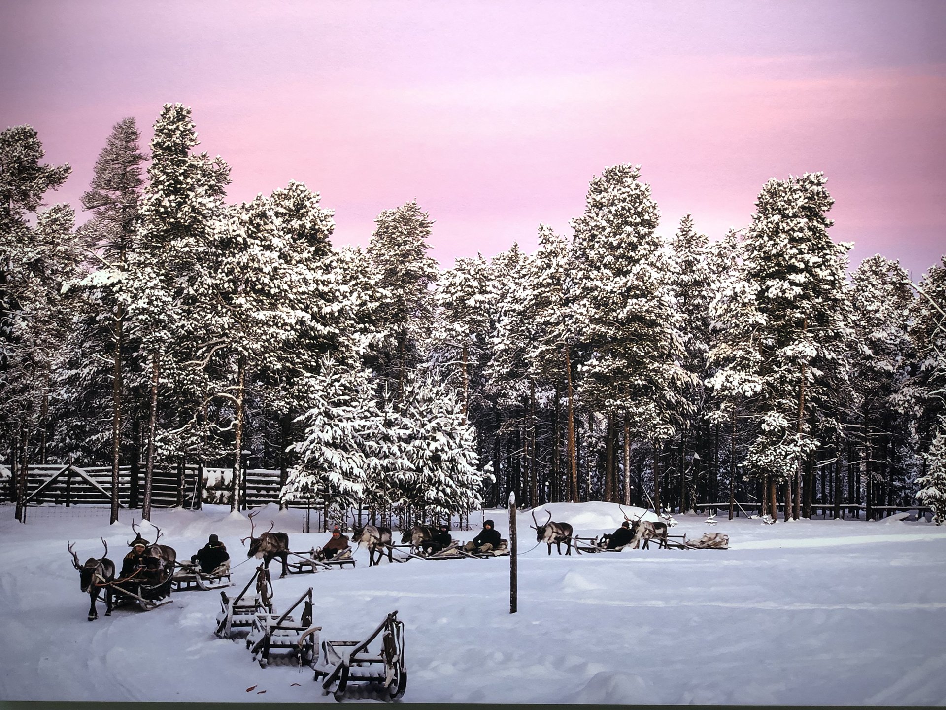 映画「雪の華」でも大人気‼︎銀座でフィンランドの写真展・入場無料♡
