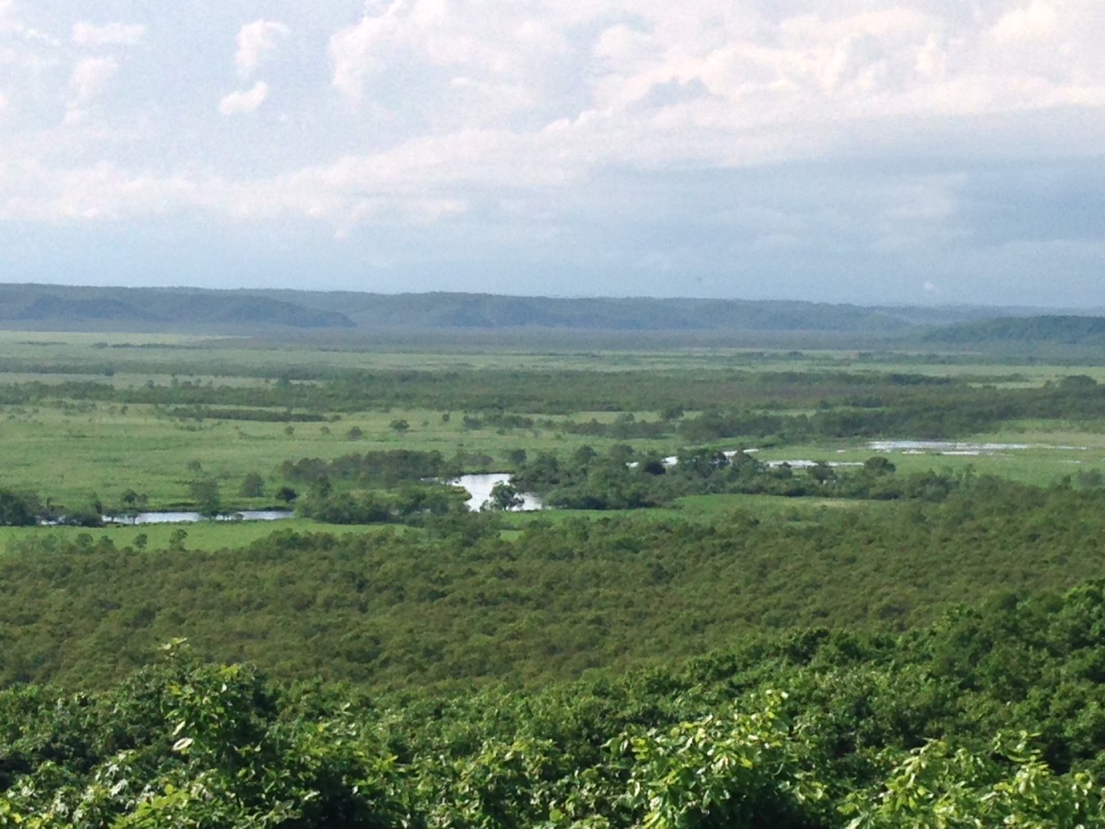 釧路湿原国立公園細岡展望台