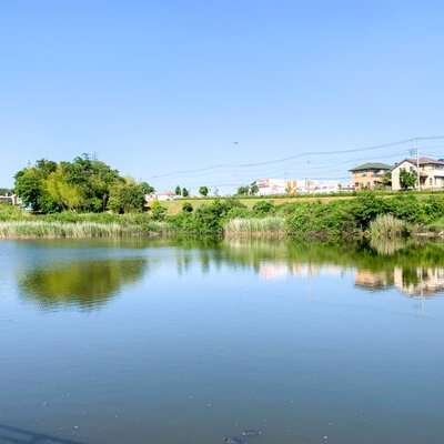 坪井近隣公園