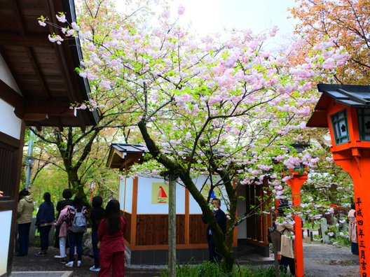 平野神社