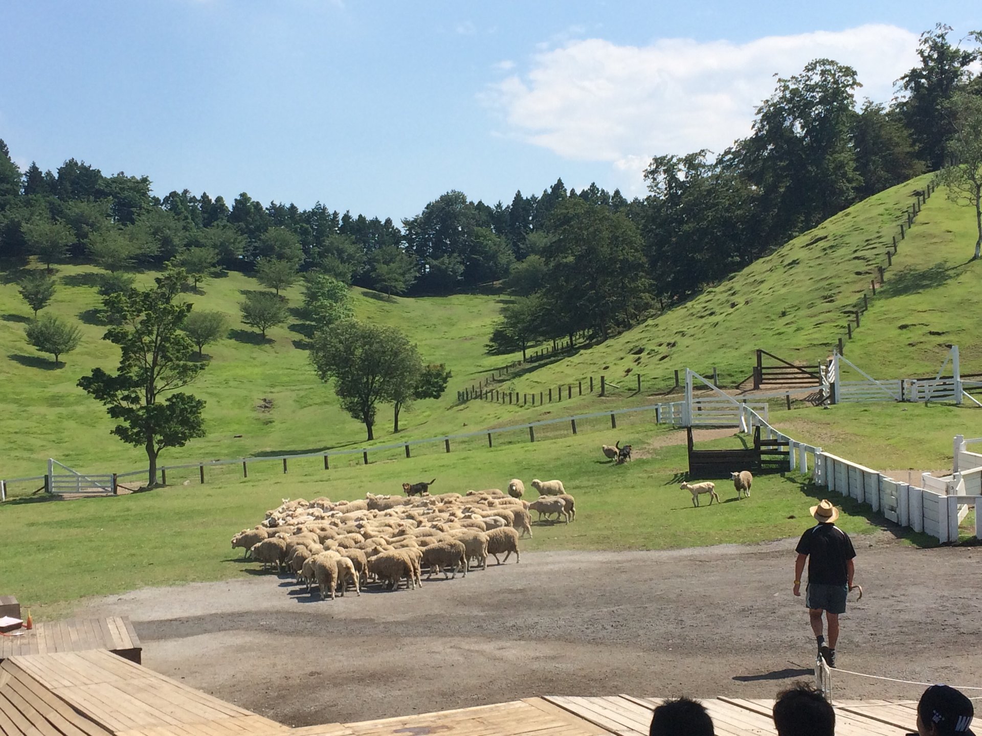 カップルで過ごす伊香保温泉♡日帰り観光デートプラン