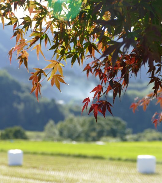 永野鉄道記念館