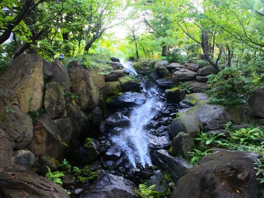 新・里山