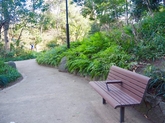 おとめ山公園