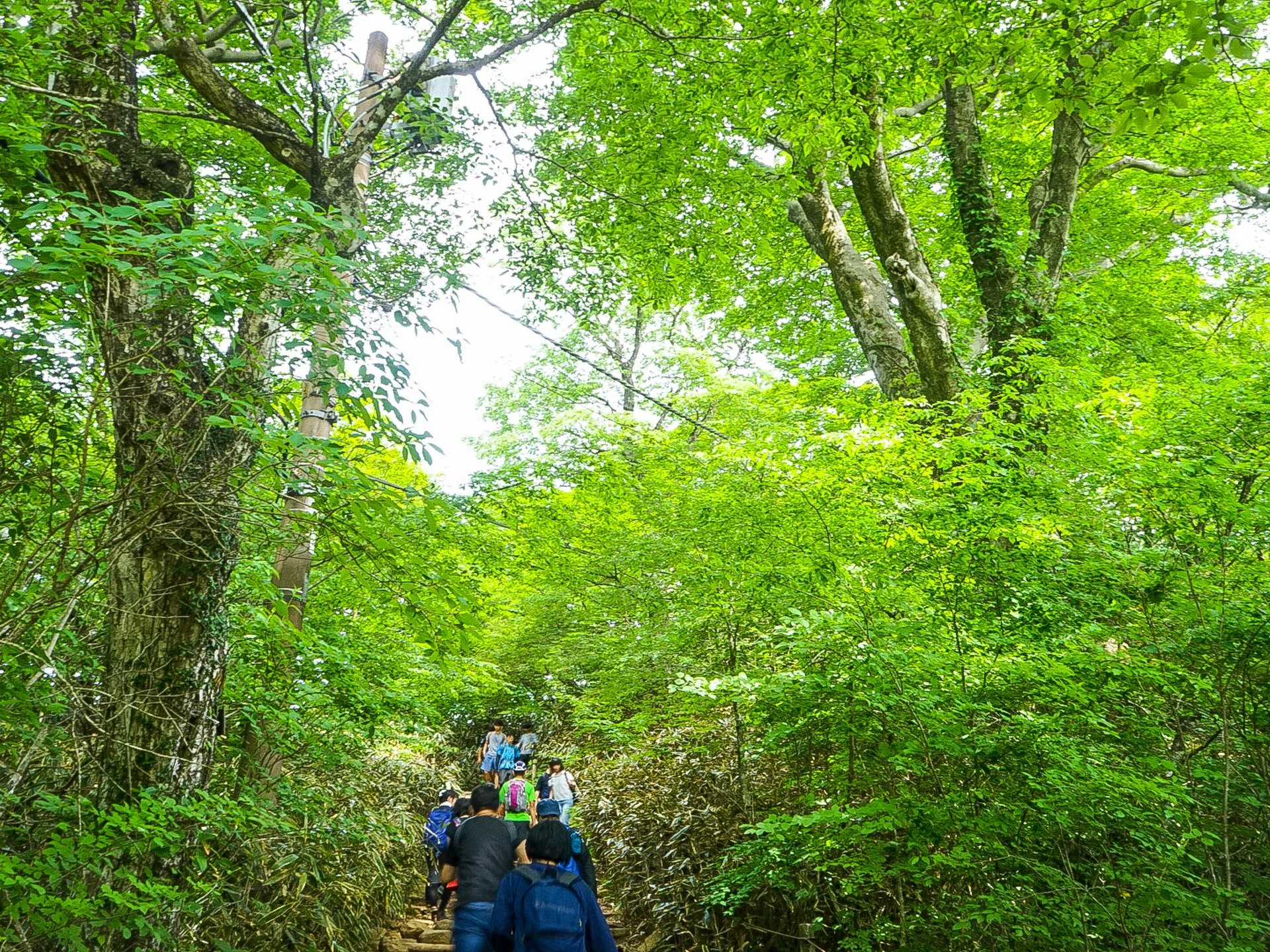 初夏の筑波山ハイキング　新緑の女体山展望台でさわやかな風と美しい景色を楽しむ旅