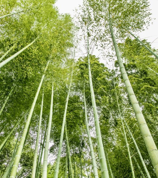 北薩広域公園多目的運動広場