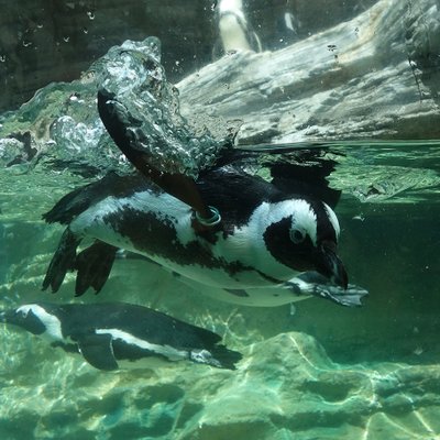 サンシャイン水族館