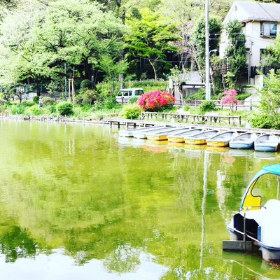 善福寺公園