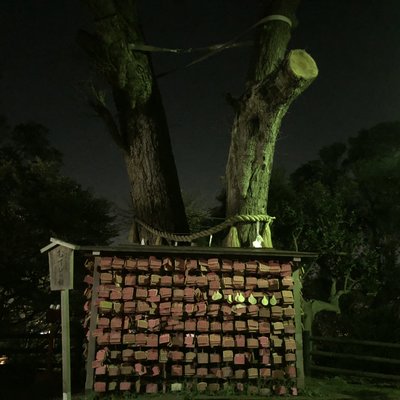 江島神社