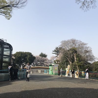 野毛山動物園