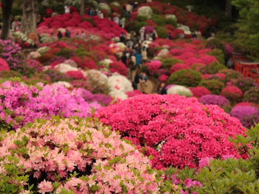 根津神社