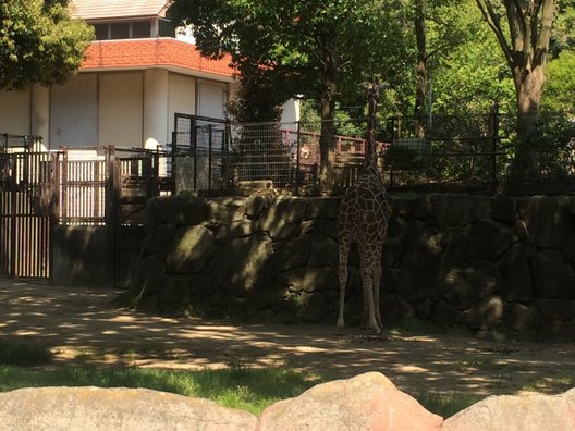 金沢動物園