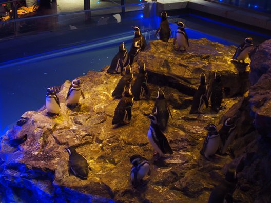 すみだ水族館