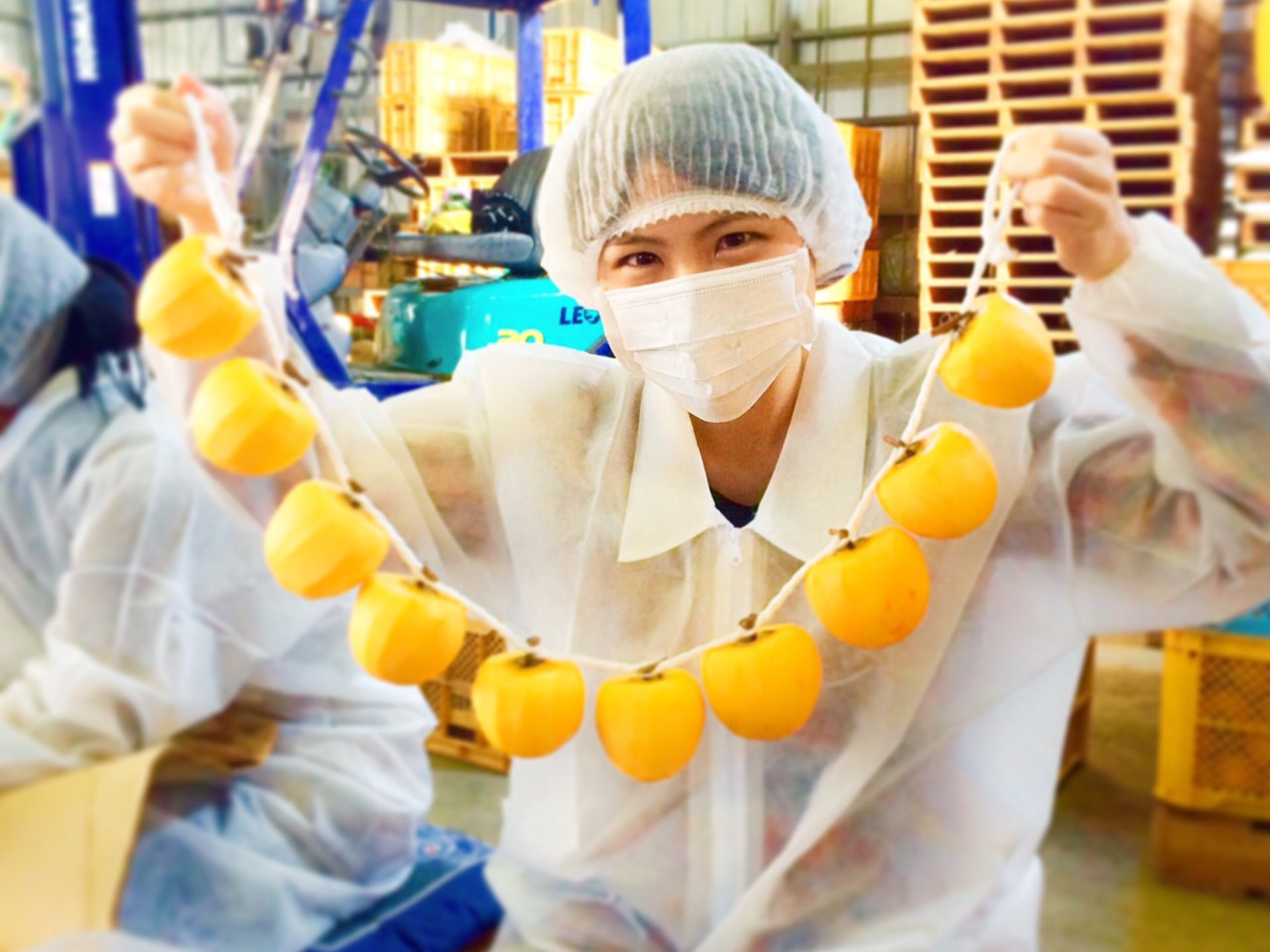 果物の宝庫で変わった体験！福島県国見町で「あんぽ柿加工体験」をやってみた♡