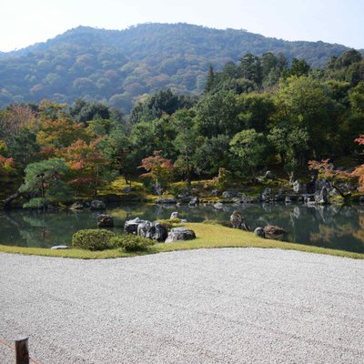 天龍寺 曹源池庭園