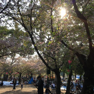 鶴舞公園