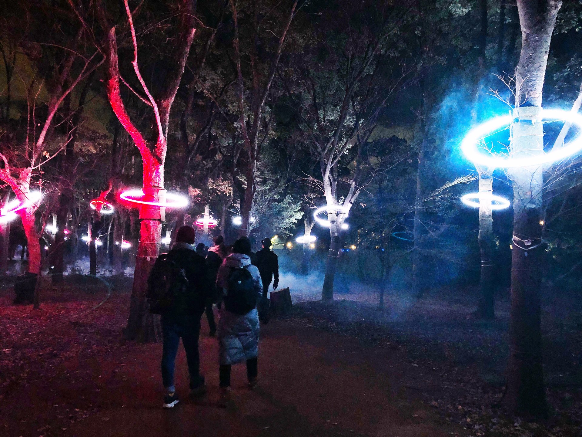 夜の城公園が幻想的に光る！大阪城ナイトウォーク「サクヤルミナ」で非日常体験！お得な情報も解禁！
