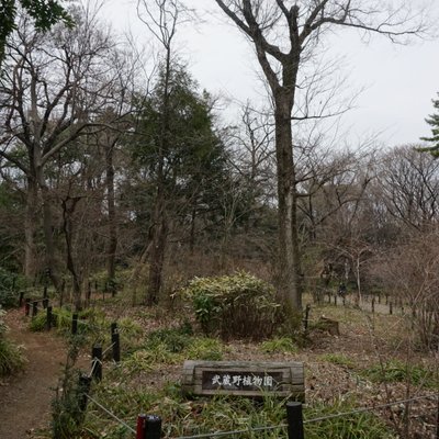 国立科学博物館附属自然教育園