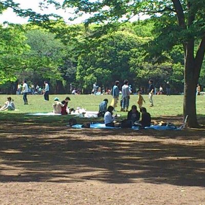 代々木公園