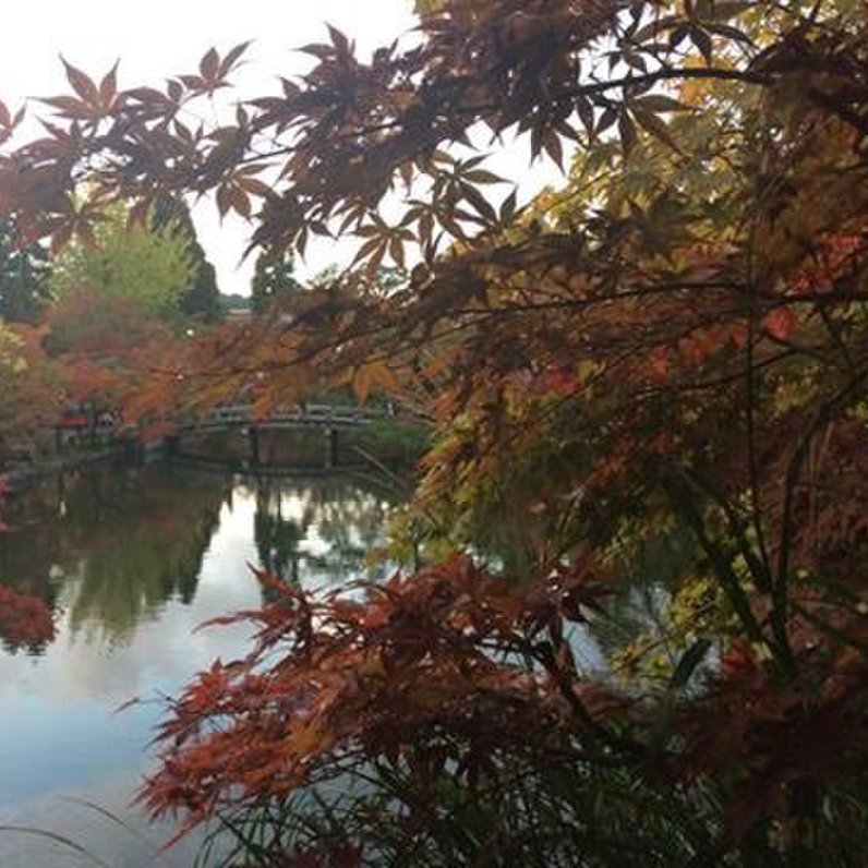 永観堂(禅林寺)