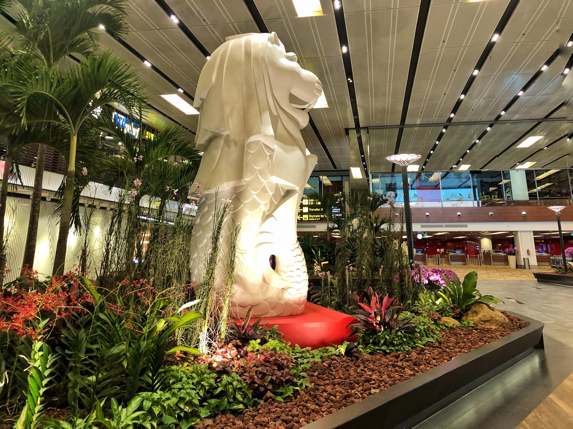 フォトジェニックなシンガポール・早朝便過ごし方‼︎チャンギ国際空港には無料マッサージ有