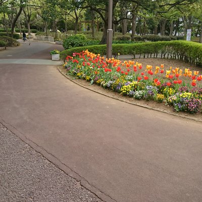 総合レクリエーション公園『富士公園』