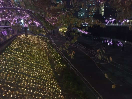 さくらテラス五反田