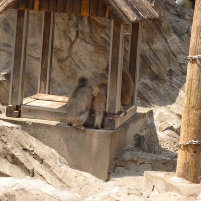 東京都恩賜上野動物園