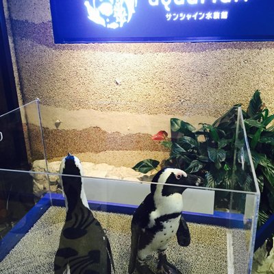 サンシャイン水族館