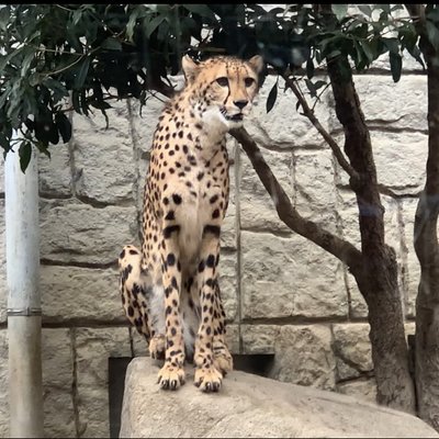 東京都多摩動物公園