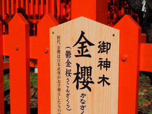 金櫻神社