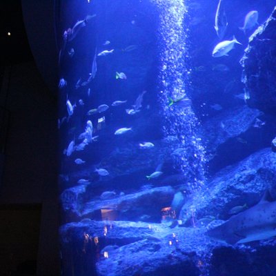 すみだ水族館