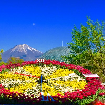 鳥取県立フラワーパークとっとり花回廊