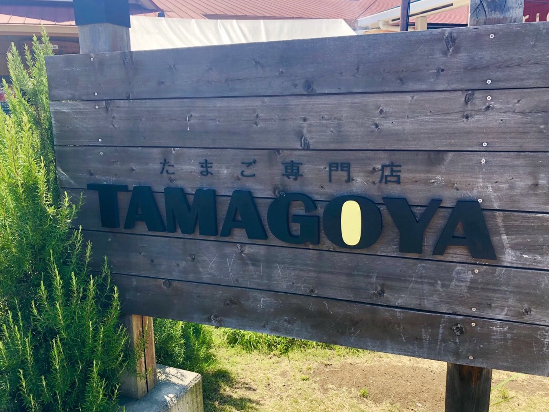 たまご専門店 TAMAGOYA
