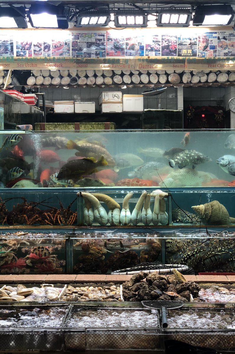 西貢海鮮街（Sai Kung Seafood Street）