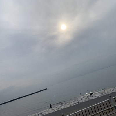 海浜公園