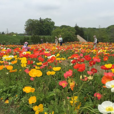 ふなばしアンデルセン公園