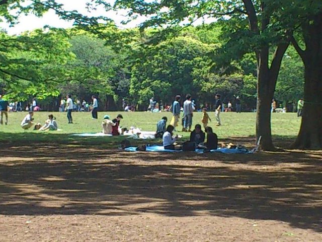 公園デートにおすすめ カップルで行きたい東京の公園10選 Playlife プレイライフ