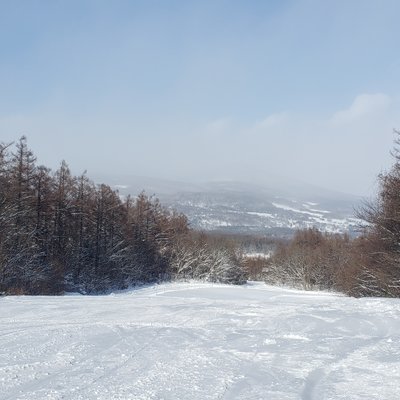 八幡平リゾートパノラマスキー場&下倉スキー場