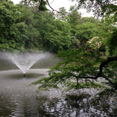 井の頭恩賜公園