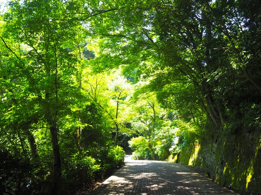 足羽山公園下駐車場