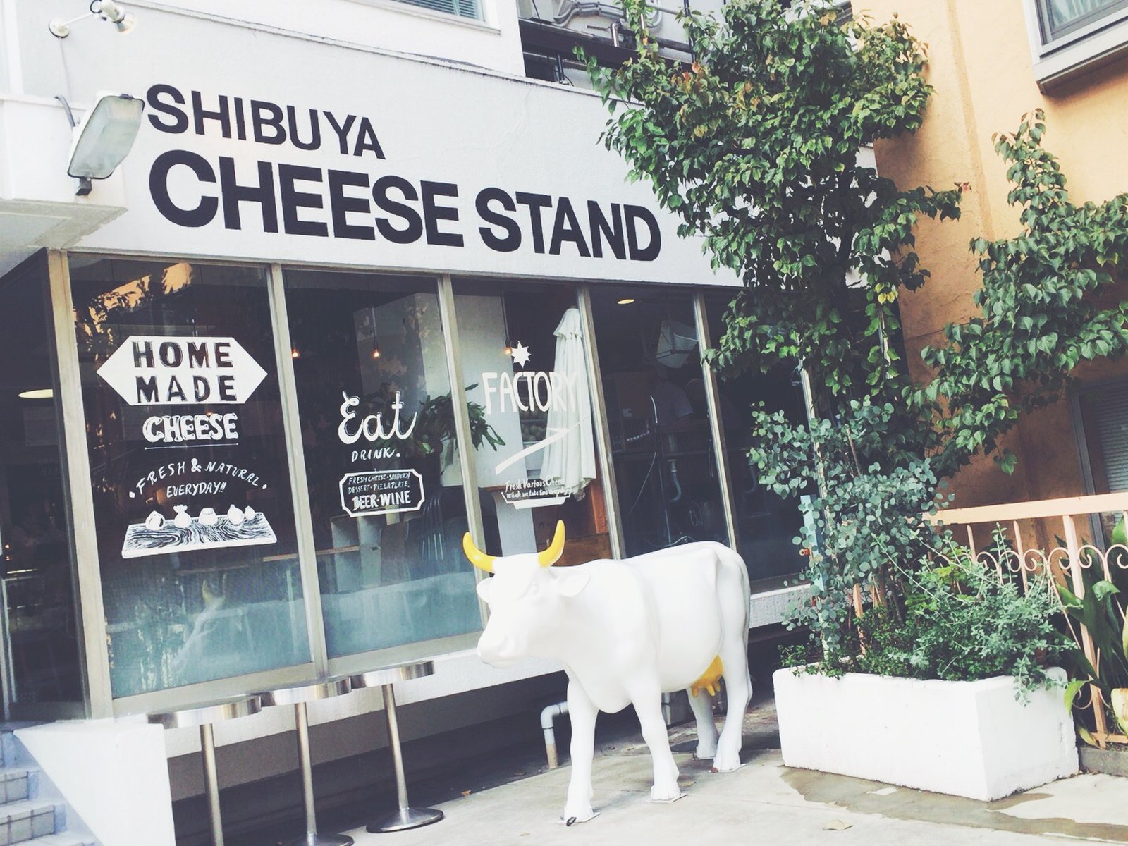 渋谷チーズスタンド