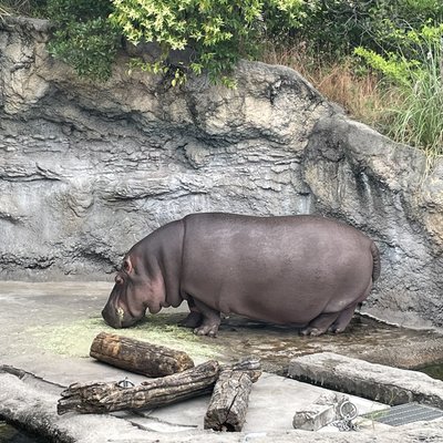 天王寺動物園