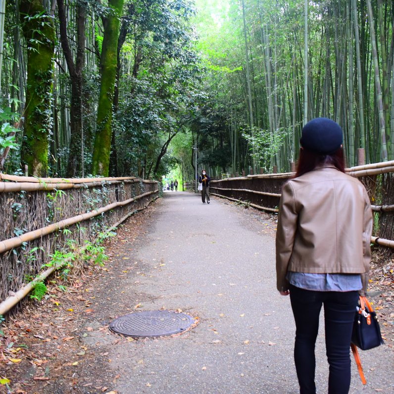 嵯峨野 竹林の道