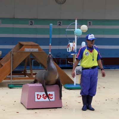 イルカ島 水族館