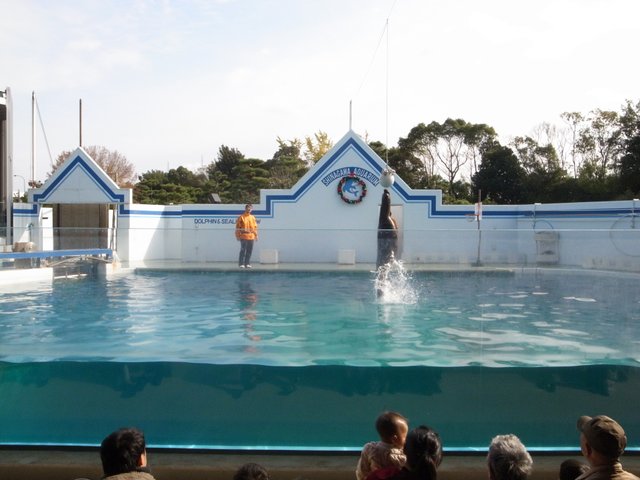 東京水族館 デートにも使える 絶対外さないおすすめの水族館5選 Playlife プレイライフ