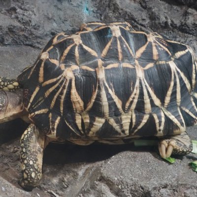 サンシャイン水族館