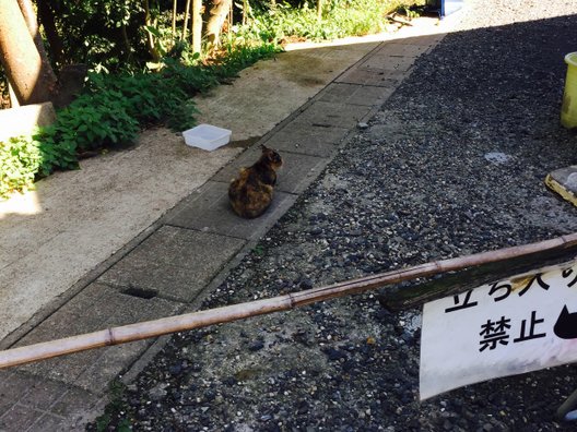 御誕生寺