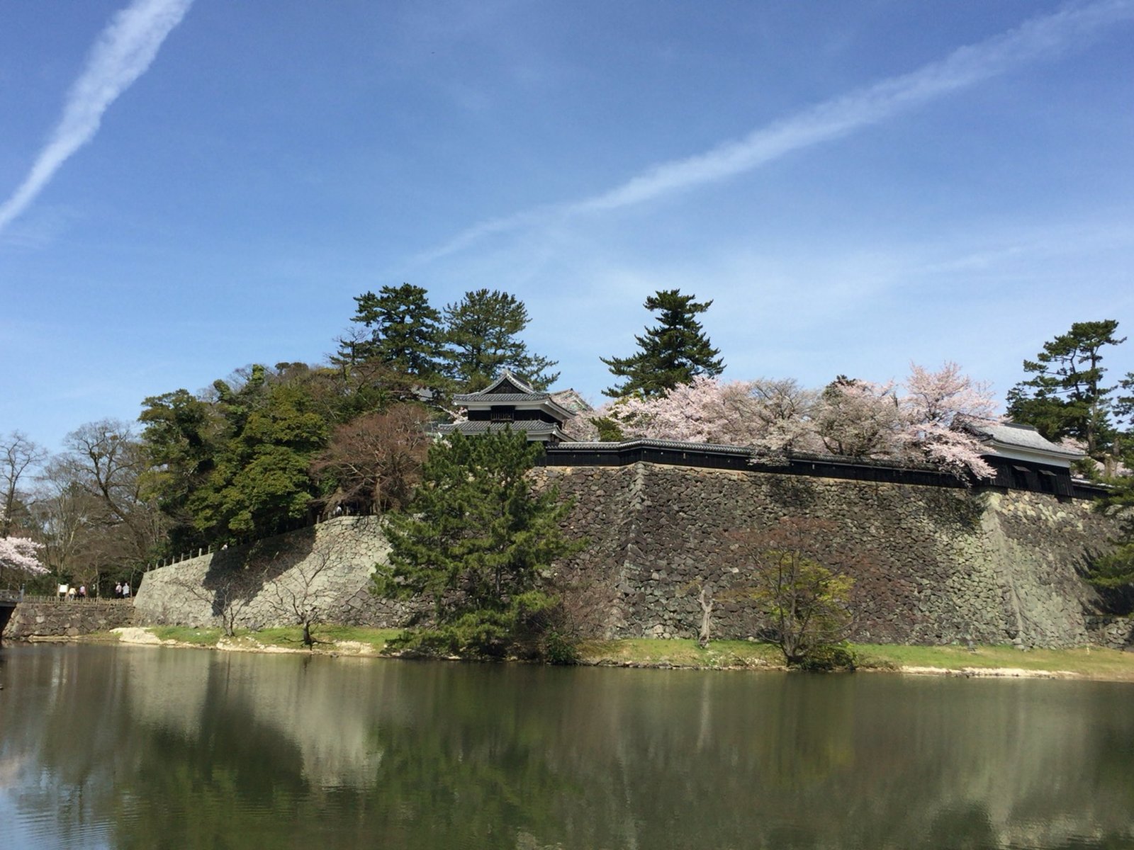 松江城 (千鳥城)